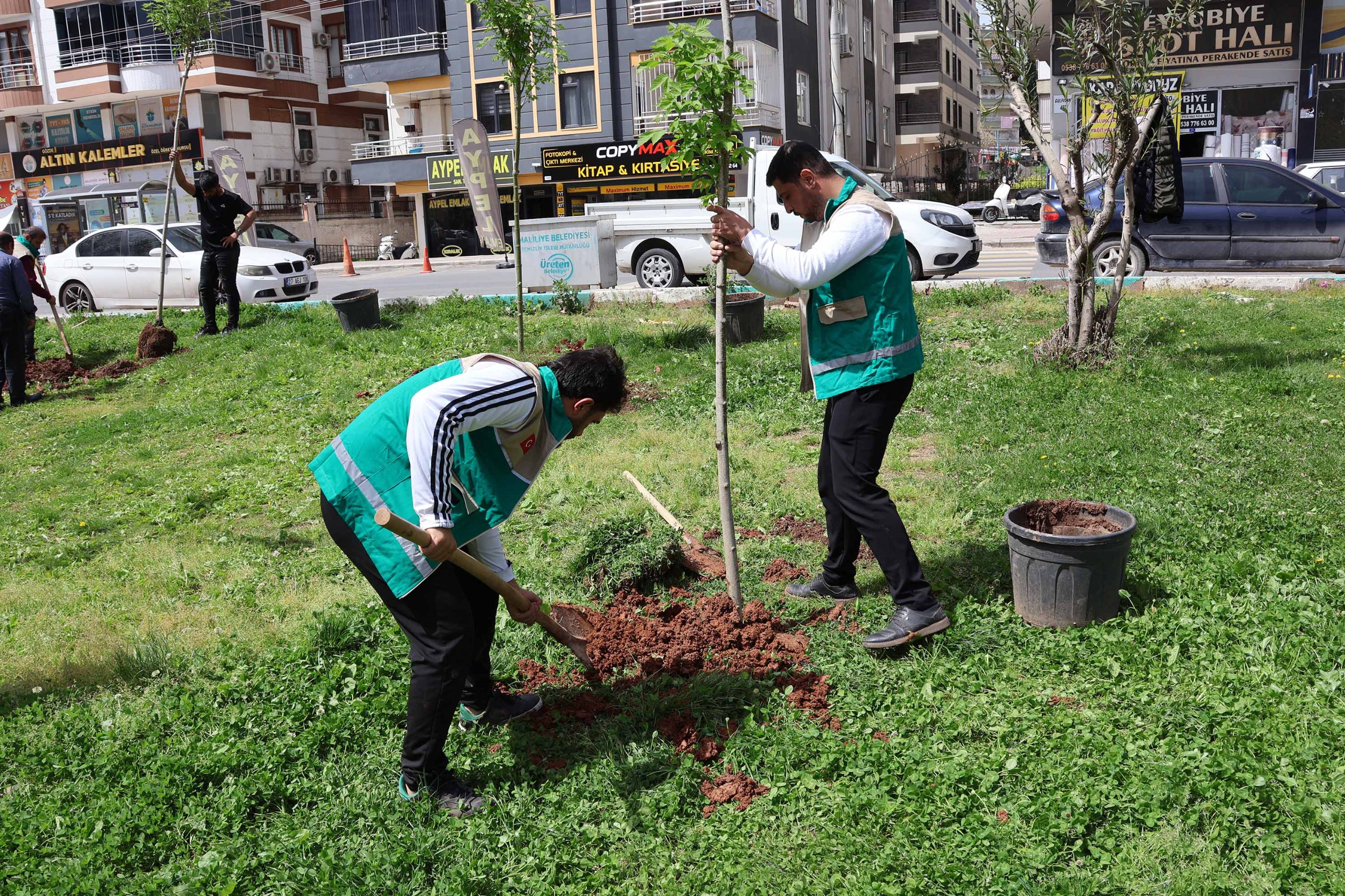 HALİLİYE BELEDİYESİ’NDEN PARK VE YEŞİL ALANLARDA BAKIM SEFERBERLİĞİ