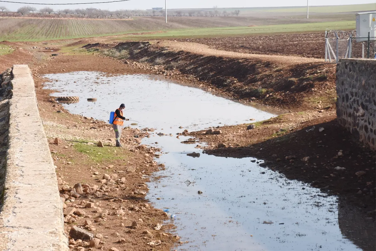 Hilvan’da Larva İle Mücadele Başladı